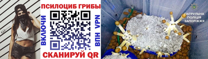Галлюциногенные грибы ЛСД  Невельск 